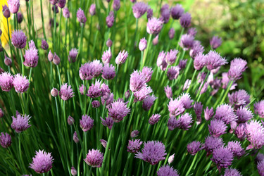 Similar image 22206340