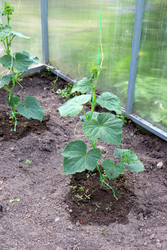 Similar image 22206341