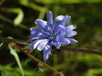 Similar image 22204564