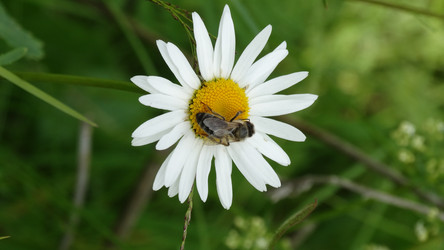 Similar image 22204565