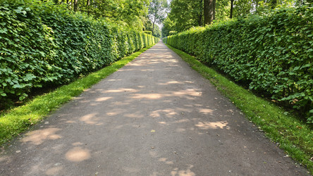 Similar image 22210645