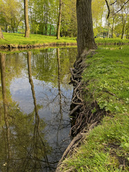 Similar image 22205110