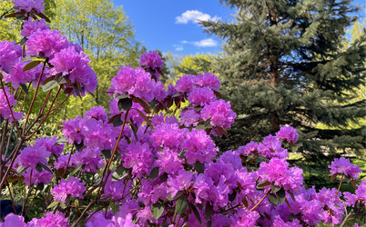 Similar image 22205116