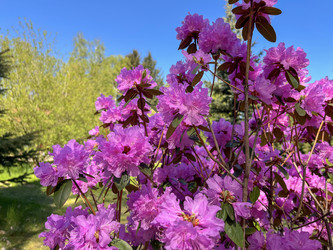 Similar image 22205117