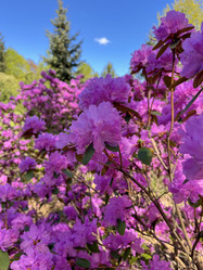 Similar image 22205118