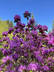 Similar image 22205119