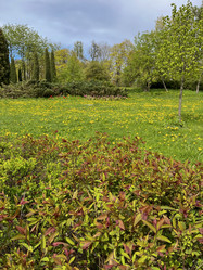 Similar image 22205124