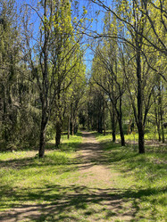 Similar image 22205126