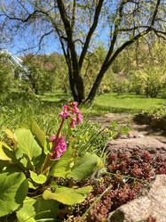 Similar image 22205128