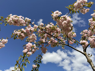 Similar image 22205129