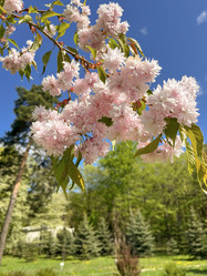 Similar image 22205130