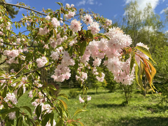 Similar image 22205131