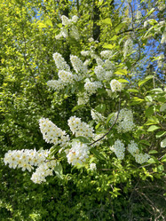 Similar image 22205132