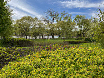 Similar image 22205136