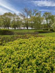 Similar image 22205137