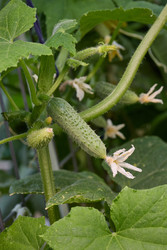 Similar image 22205145