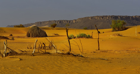 Similar image 22206516