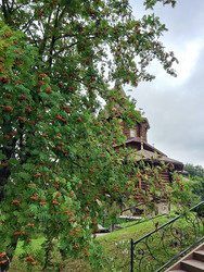 Similar image 22205158