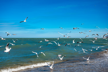 Similar image 22205177