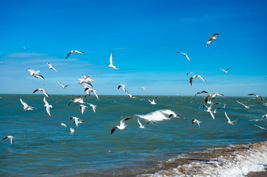 Similar image 22205178