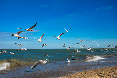 Similar image 22205179