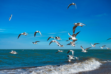 Similar image 22205180