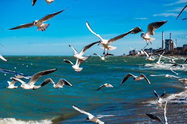 Similar image 22205181