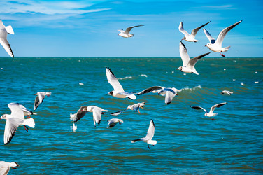 Similar image 22205183