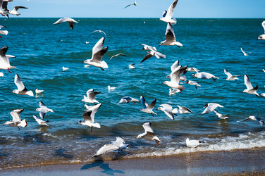 Similar image 22205185