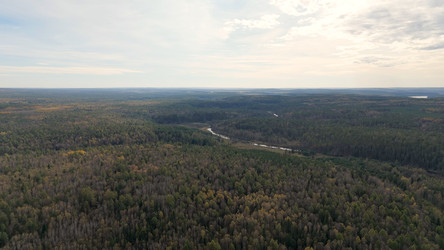 Similar image 22207472