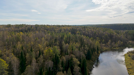 Similar image 22207481