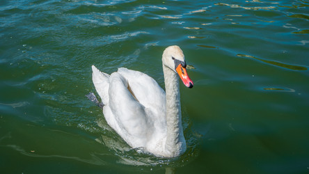 Similar image 22207485