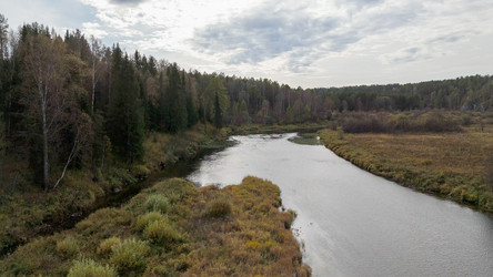 Similar image 22207493