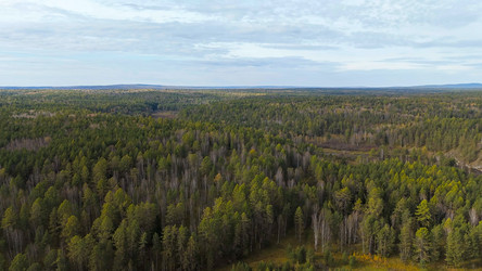 Similar image 22207494