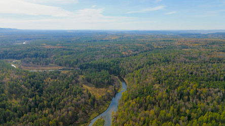 Similar image 22207499