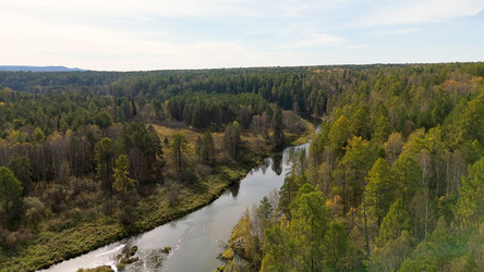 Similar image 22207500