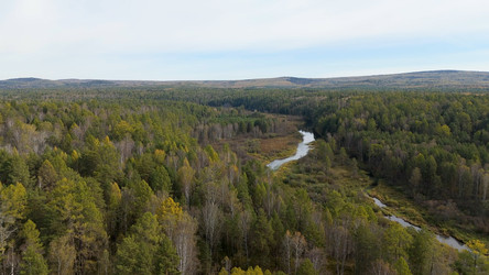 Similar image 22207504