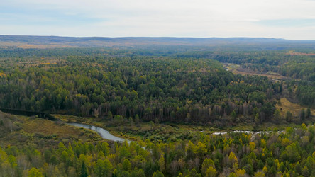 Similar image 22207506