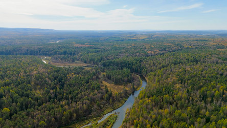 Similar image 22207585