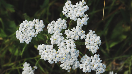 Similar image 22205748