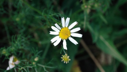 Similar image 22205749