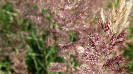 Similar image 22205750