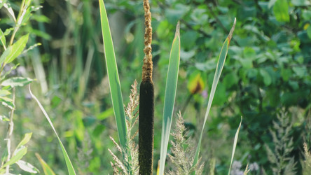 Similar image 22205752