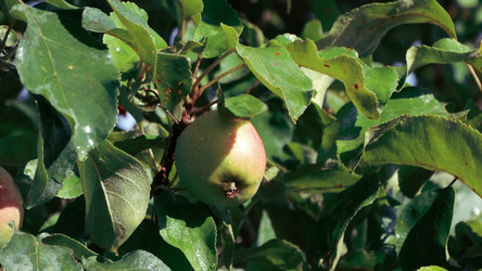 Similar image 22205753