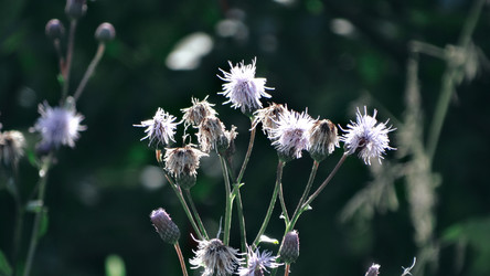 Similar image 22205755