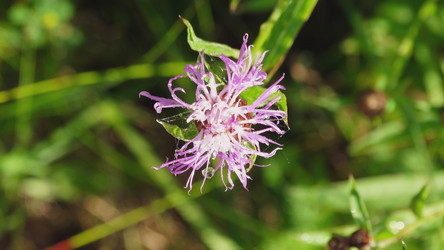 Similar image 22205756