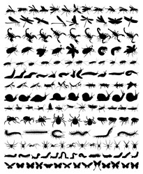 Similar image 22205757