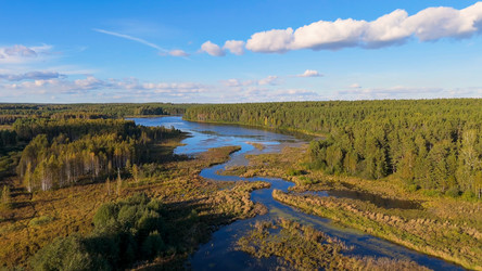 Similar image 22207597