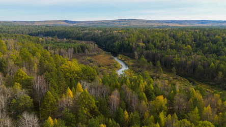 Similar image 22207598