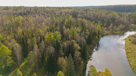 Similar image 22207614